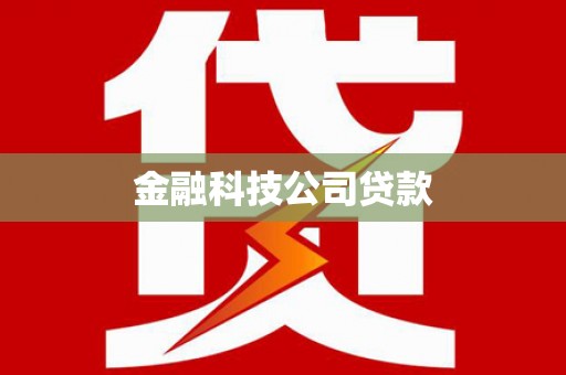 麻山金融科技公司贷款