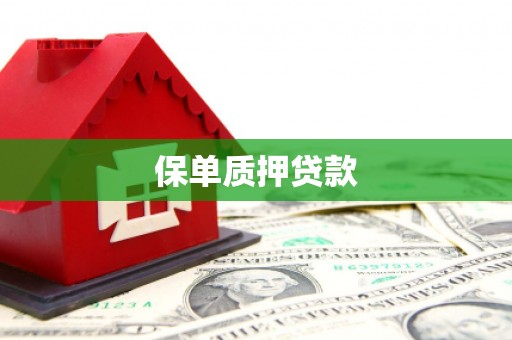 麻山保单质押贷款