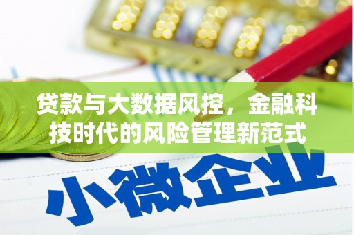 麻山贷款与大数据风控，金融科技时代的风险管理新范式