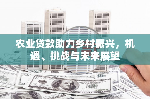 麻山农业贷款助力乡村振兴，机遇、挑战与未来展望