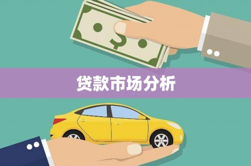 麻山贷款市场分析