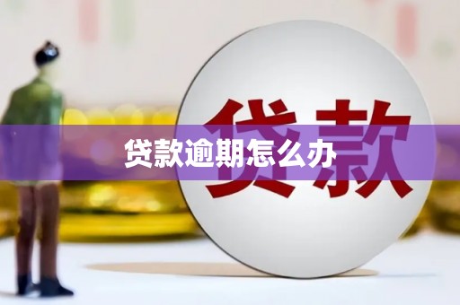 麻山贷款逾期怎么办