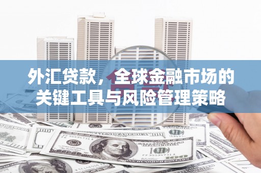 麻山外汇贷款，全球金融市场的关键工具与风险管理策略