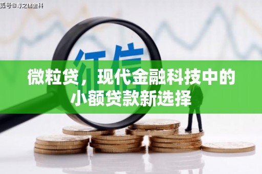麻山微粒贷，现代金融科技中的小额贷款新选择