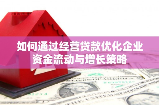 麻山如何通过经营贷款优化企业资金流动与增长策略