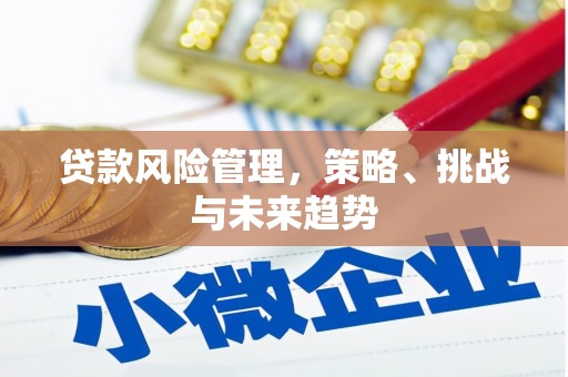 麻山贷款风险管理，策略、挑战与未来趋势