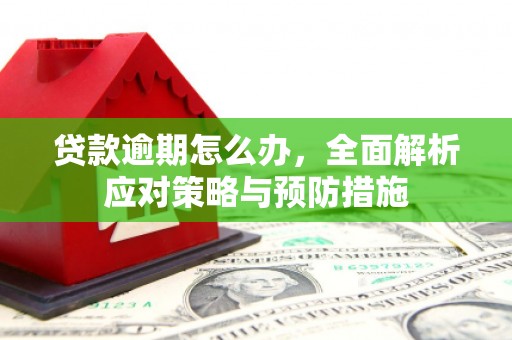 麻山贷款逾期怎么办，全面解析应对策略与预防措施