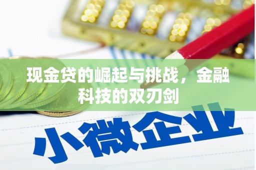 麻山现金贷的崛起与挑战，金融科技的双刃剑
