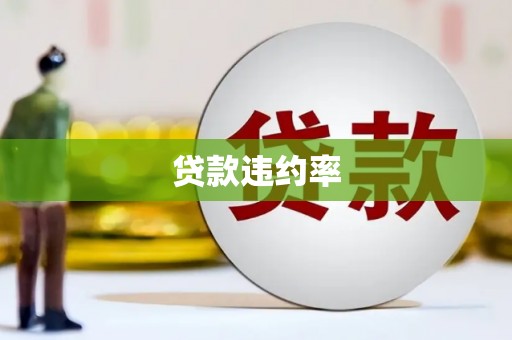 麻山贷款违约率