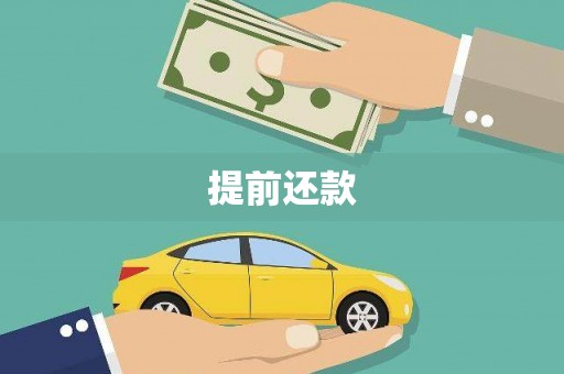 麻山提前还款