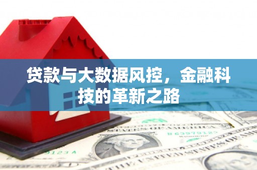 麻山贷款与大数据风控，金融科技的革新之路