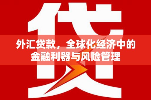 麻山外汇贷款，全球化经济中的金融利器与风险管理