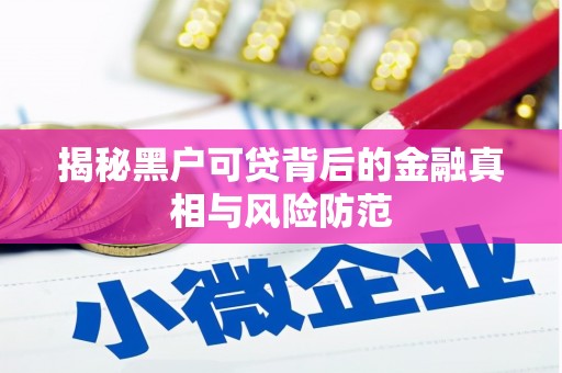 麻山揭秘黑户可贷背后的金融真相与风险防范