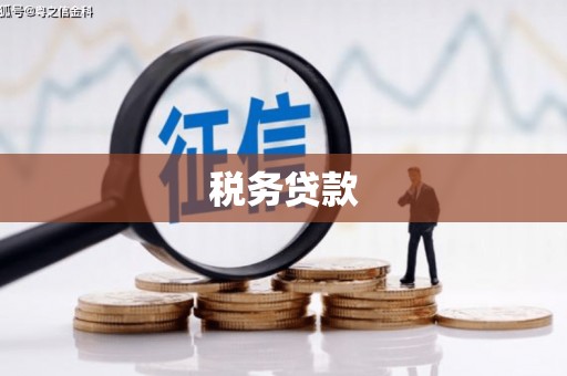 麻山税务贷款