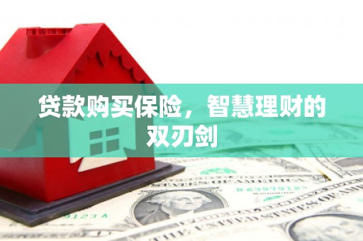 麻山贷款购买保险，智慧理财的双刃剑
