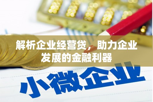 麻山解析企业经营贷，助力企业发展的金融利器