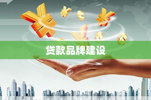 麻山贷款品牌建设