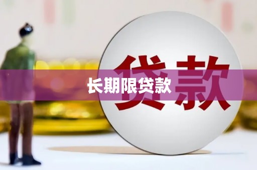 麻山长期限贷款