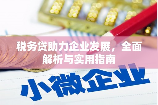 麻山税务贷助力企业发展，全面解析与实用指南