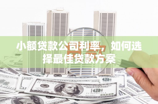 麻山小额贷款公司利率，如何选择最佳贷款方案