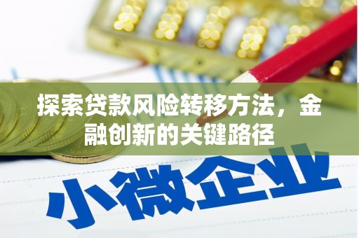 麻山探索贷款风险转移方法，金融创新的关键路径
