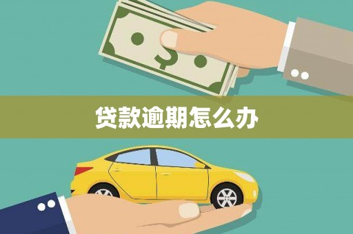 麻山贷款逾期怎么办