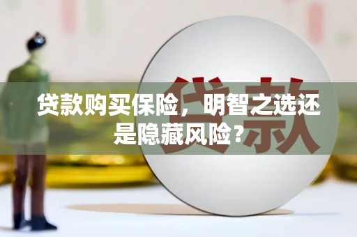 麻山贷款购买保险，明智之选还是隐藏风险？