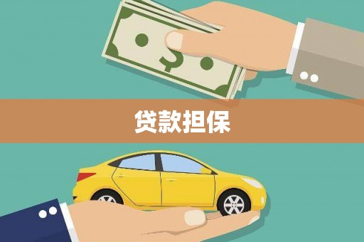 麻山贷款担保