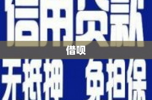 麻山借呗