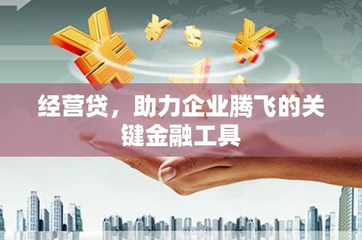 麻山经营贷，助力企业腾飞的关键金融工具