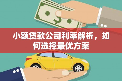 麻山小额贷款公司利率解析，如何选择最优方案