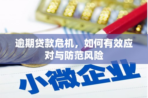 麻山逾期贷款危机，如何有效应对与防范风险