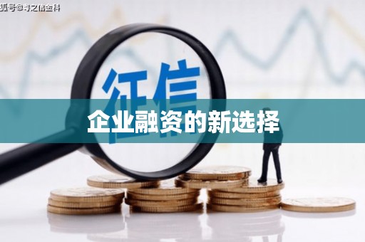 麻山企业融资的新选择