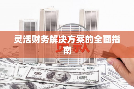麻山灵活财务解决方案的全面指南