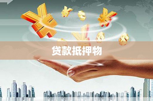 麻山贷款抵押物