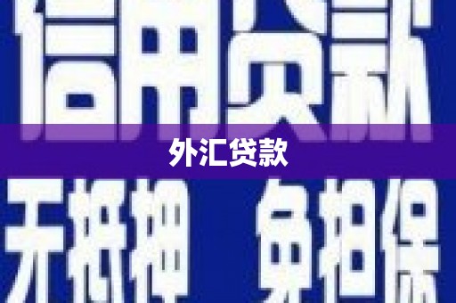 麻山外汇贷款