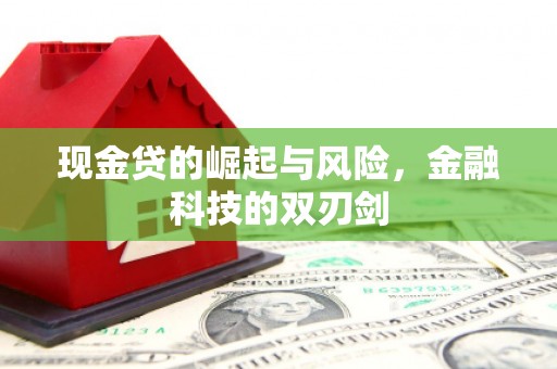 麻山现金贷的崛起与风险，金融科技的双刃剑