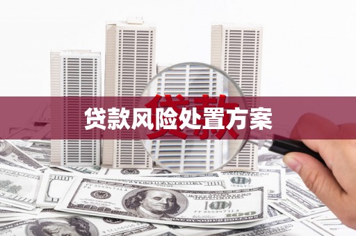 麻山贷款风险处置方案
