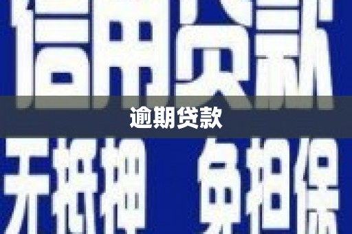 麻山逾期贷款