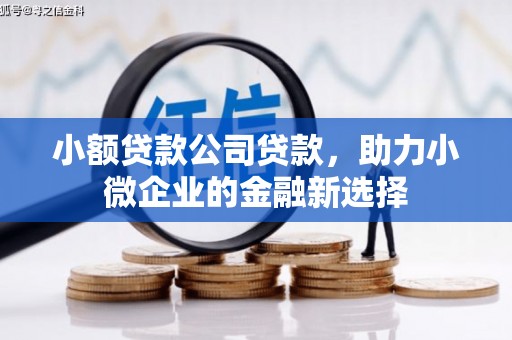 麻山小额贷款公司贷款，助力小微企业的金融新选择