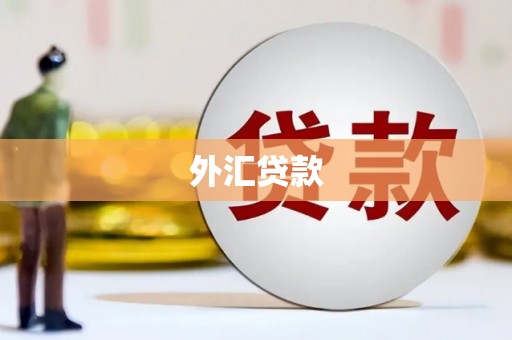 麻山外汇贷款
