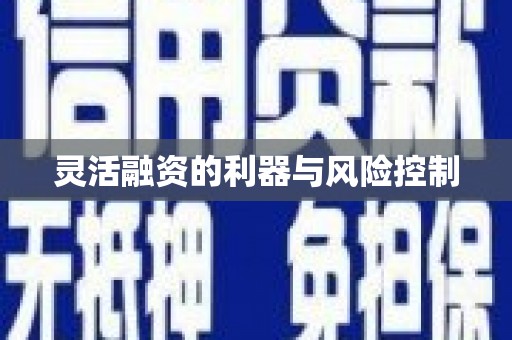 麻山灵活融资的利器与风险控制