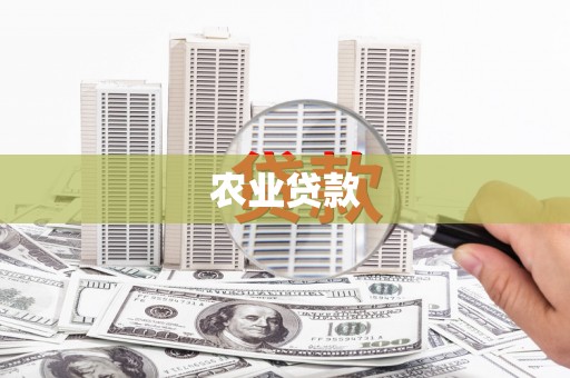 麻山农业贷款