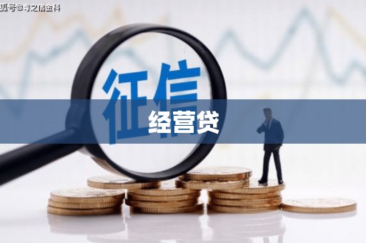 麻山经营贷