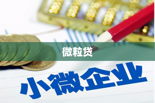 麻山微粒贷