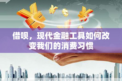 麻山借呗，现代金融工具如何改变我们的消费习惯