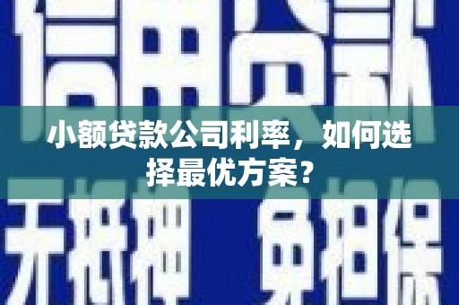 麻山小额贷款公司利率，如何选择最优方案？