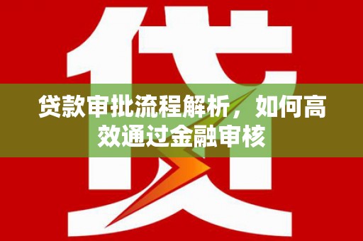 麻山贷款审批流程解析，如何高效通过金融审核