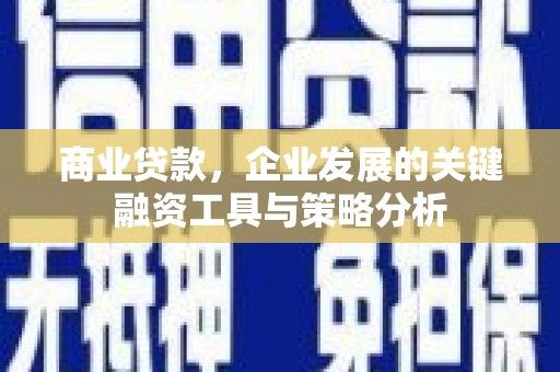 麻山商业贷款，企业发展的关键融资工具与策略分析