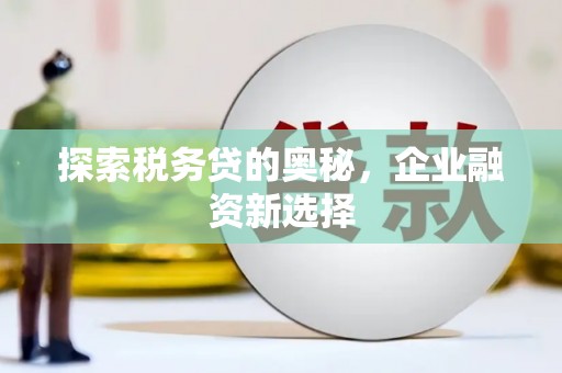 麻山探索税务贷的奥秘，企业融资新选择